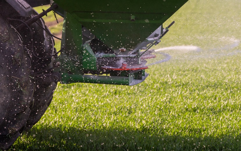 Professional lawn care treatment in Belfast garden